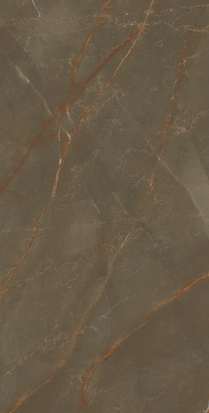 F15709-B