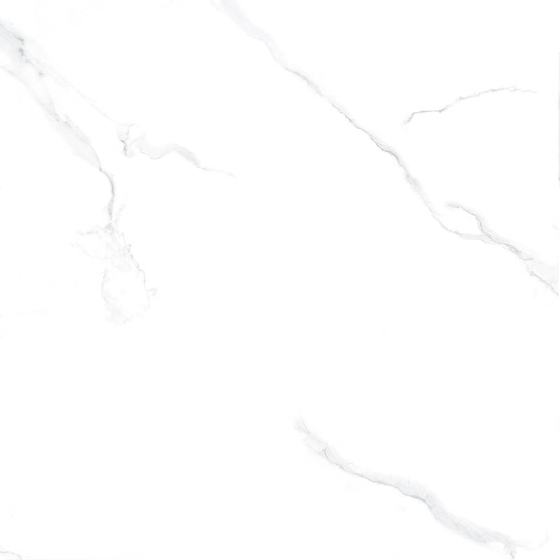 F8559