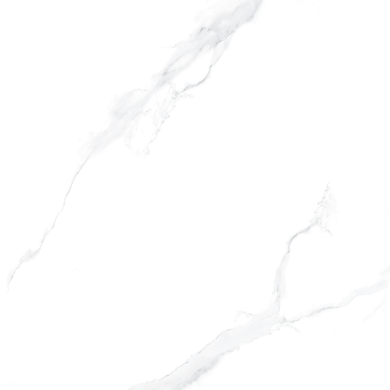 F8559