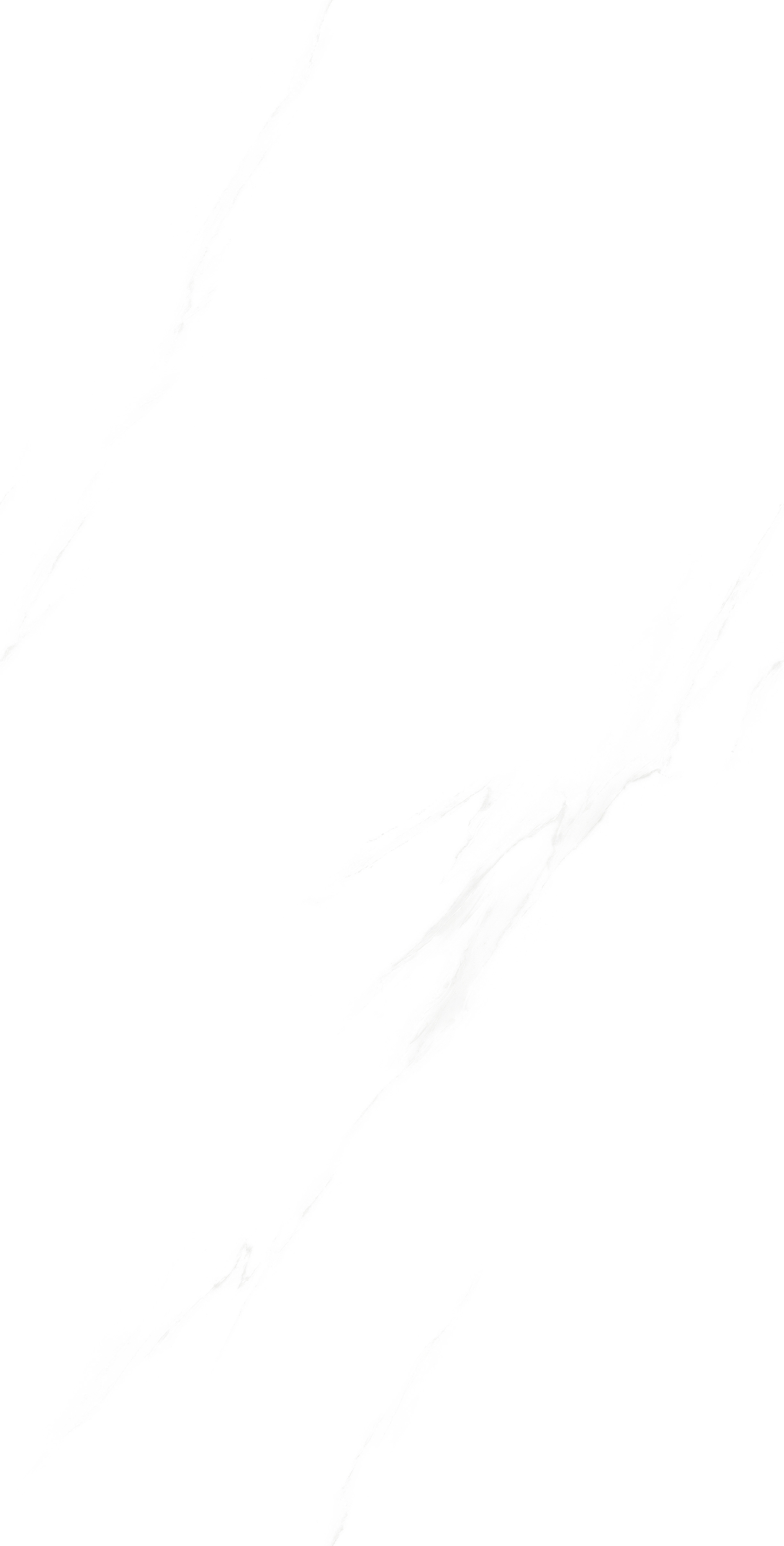 瑞祥白FZ063