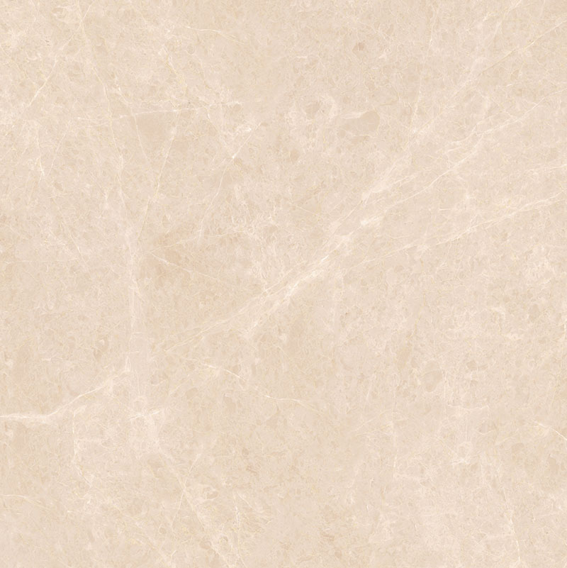 F81216